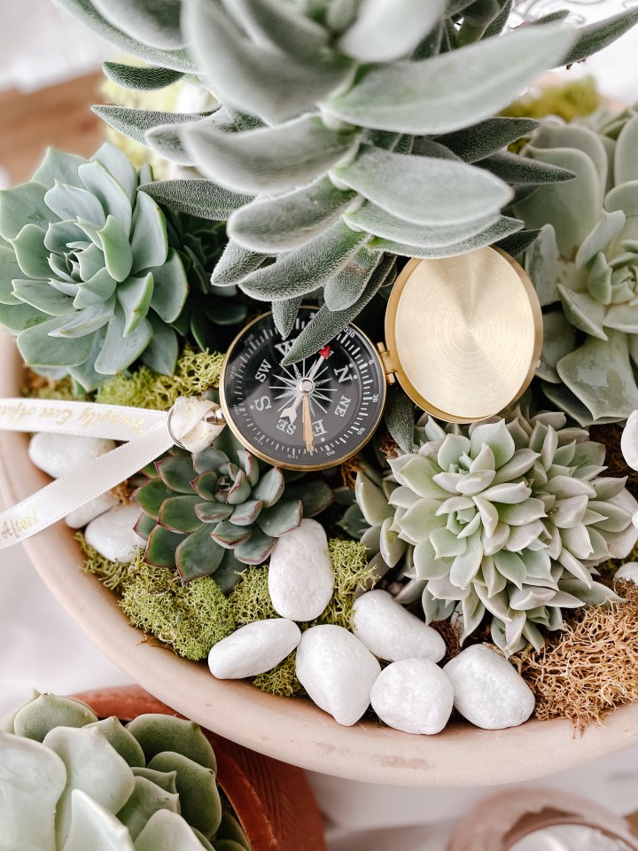 WOODLAND SUCCULENT CENTREPIECES