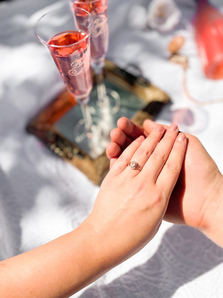 PLANNING A PICNIC PROPOSAL WITH&nbsp;WEDDINGSTAR